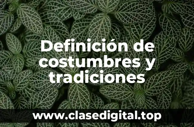 Definición técnica de costumbres y tradiciones