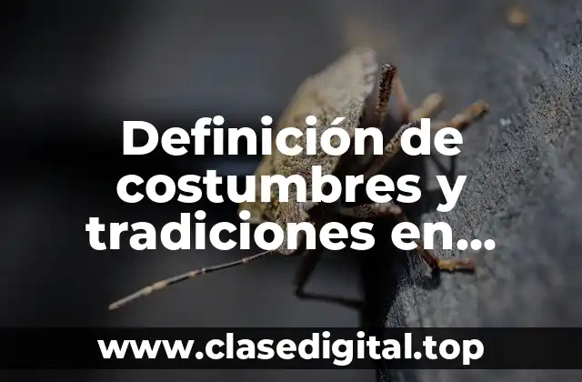 Definición de costumbres y tradiciones en Chihuahua