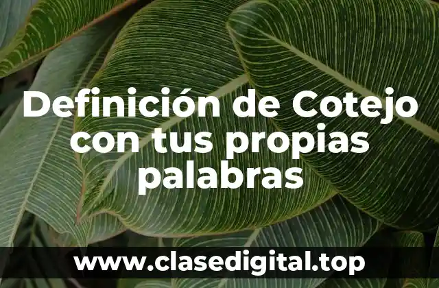 Definición de Cotejo con tus propias palabras