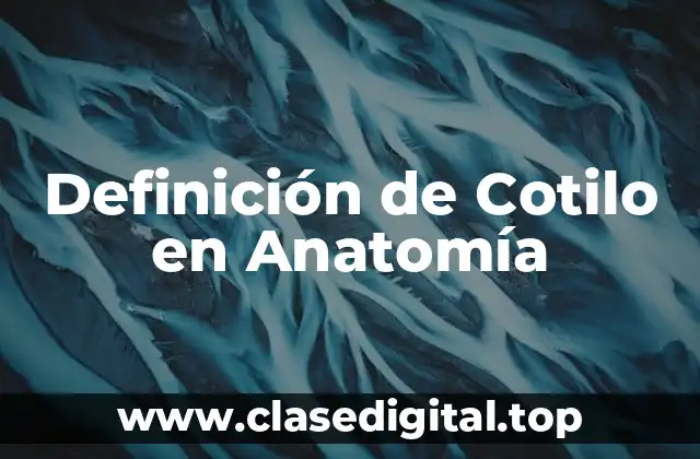 Definición de Cotilo en Anatomía