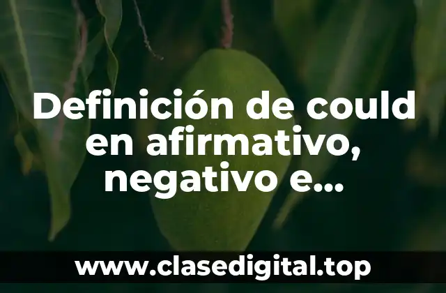 Definición de could en afirmativo, negativo e interrogativo