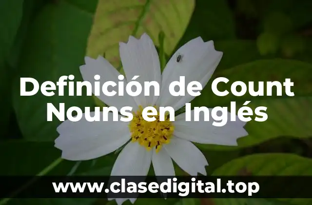 Definición de Count Nouns en Inglés