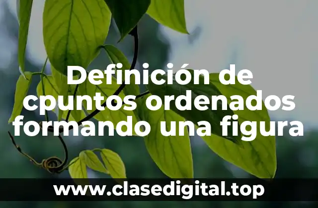Definición de cpuntos ordenados formando una figura