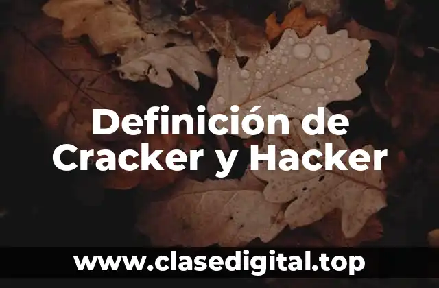 Definición de Cracker y Hacker