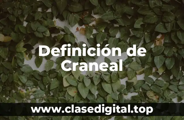 Definición de Craneal