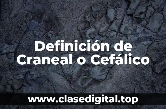 Definición de Craneal o Cefálico