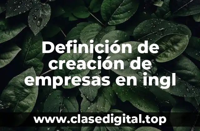 Definición de creación de empresas en ingl