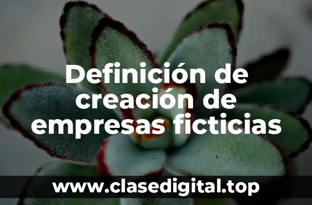 Ejemplos de creación de empresas ficticias