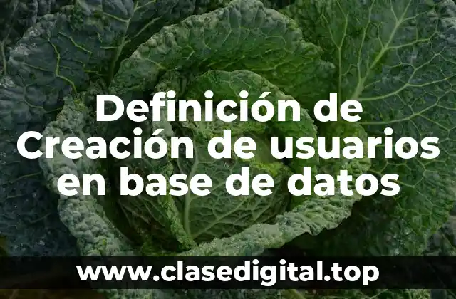 Definición de Creación de usuarios en base de datos