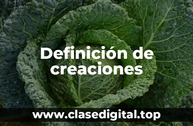 Ejemplos de creaciones