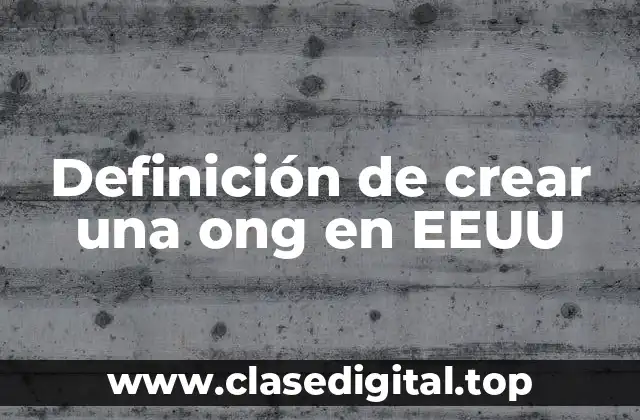 Definición de crear una ong en EEUU