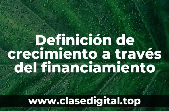 Definición de crecimiento a través del financiamiento