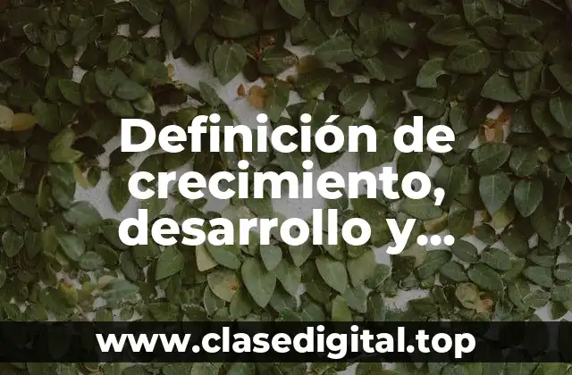Definición técnica de crecimiento económico