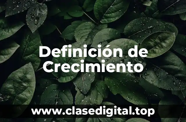 Definición Técnica de Crecimiento
