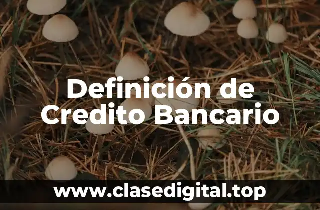 Definición técnica de Credito Bancario