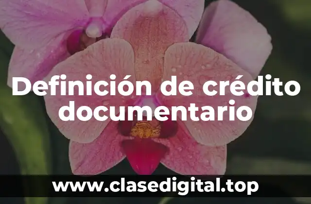 Definición de crédito documentario