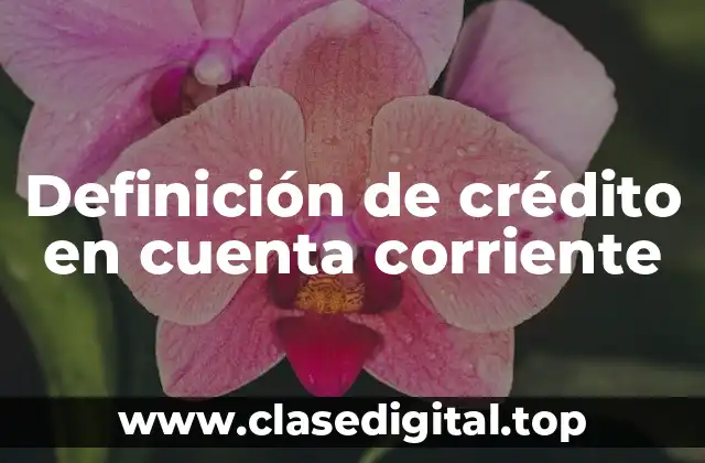 Definición de crédito en cuenta corriente