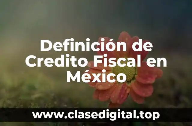 Definición de Credito Fiscal en México