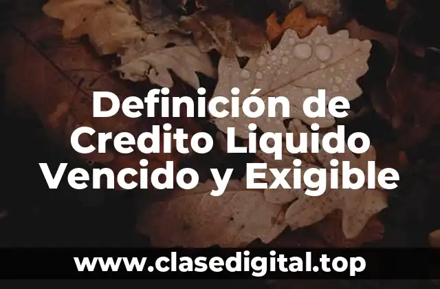 Definición de Credito Liquido Vencido y Exigible