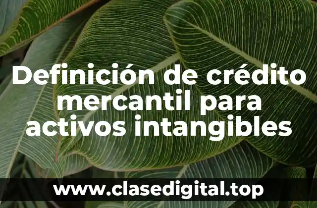 Definición de crédito mercantil para activos intangibles