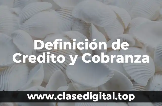 Definición Técnica de Credito y Cobranza