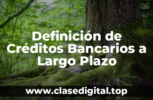 Definición Técnica de Créditos Bancarios a Largo Plazo