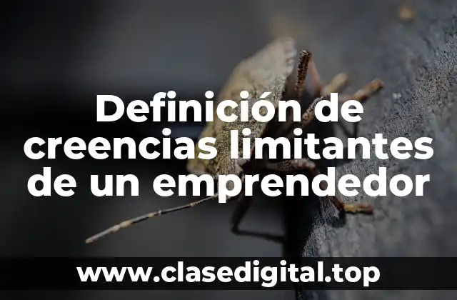 Definición de creencias limitantes de un emprendedor