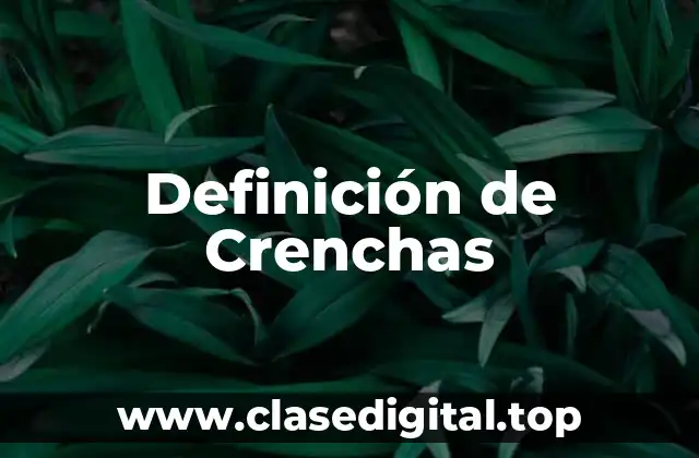 Definición de Crenchas