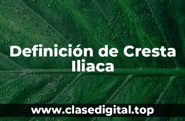 Definición de Cresta Iliaca