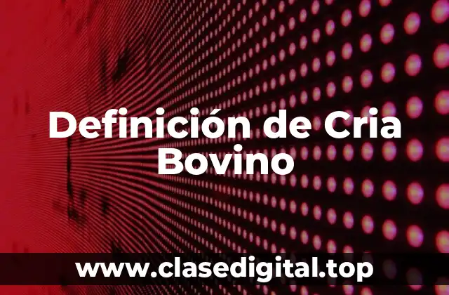 Definición de Cria Bovino