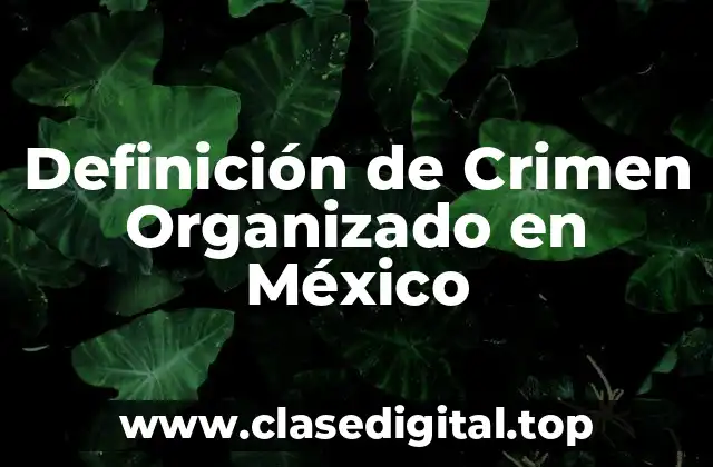 Definición de Crimen Organizado en México