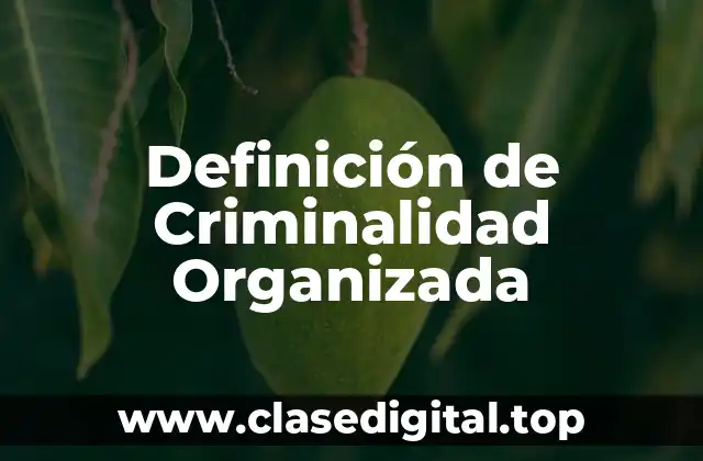 Definición de Criminalidad Organizada