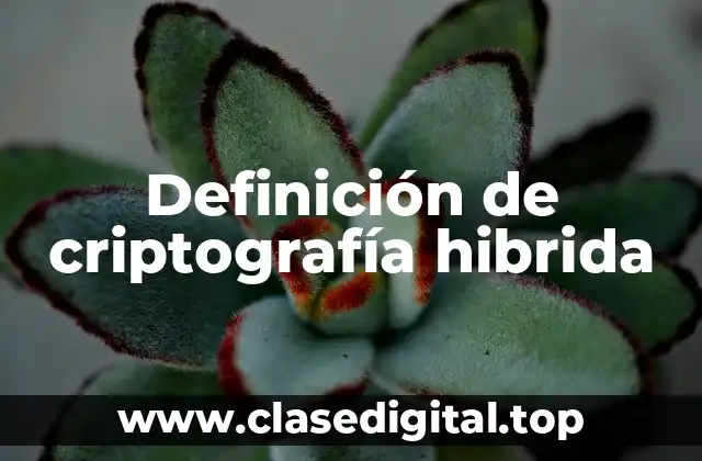 Ejemplos de criptografía hibrida