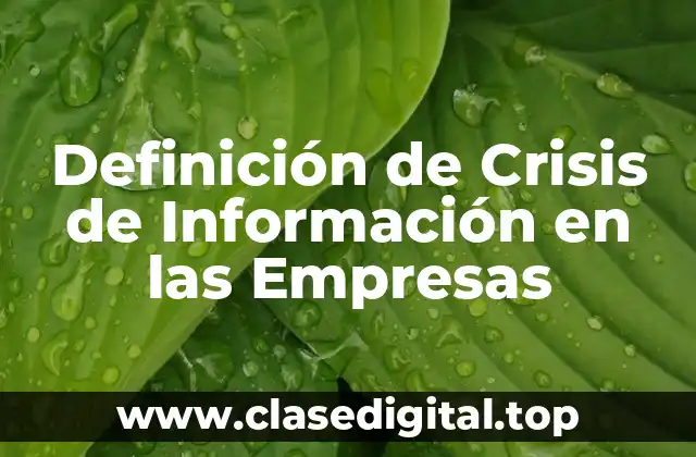 Definición técnica de Crisis de Información en las Empresas