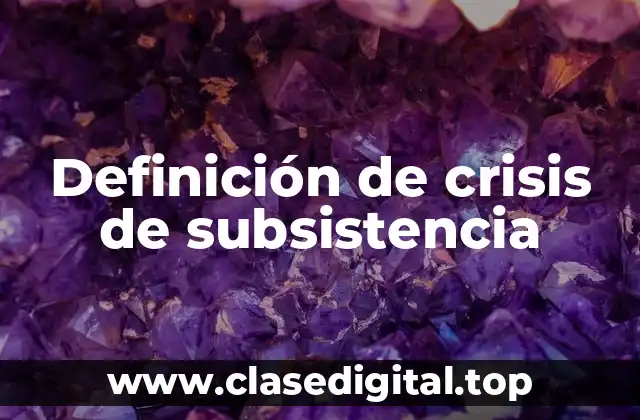 Definición de crisis de subsistencia
