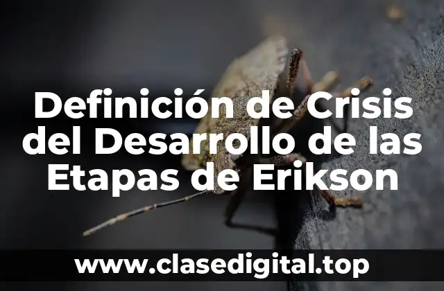 Definición de Crisis del Desarrollo de las Etapas de Erikson