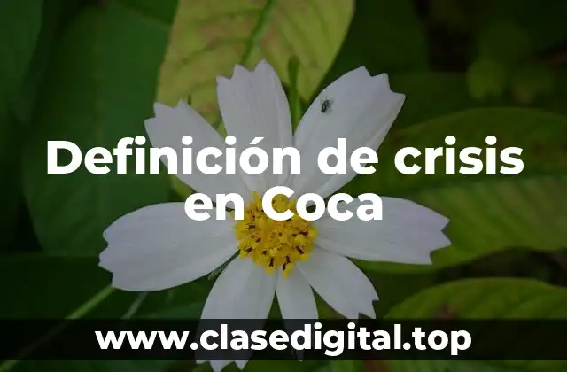 Definición de crisis en Coca