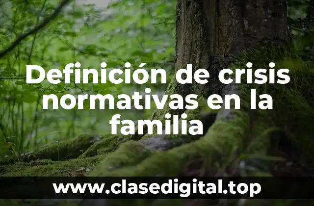 Definición de crisis normativas en la familia