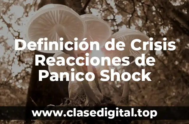 Definición de Crisis Reacciones de Panico Shock