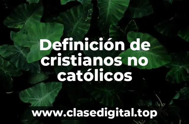 Definición de cristianos no católicos