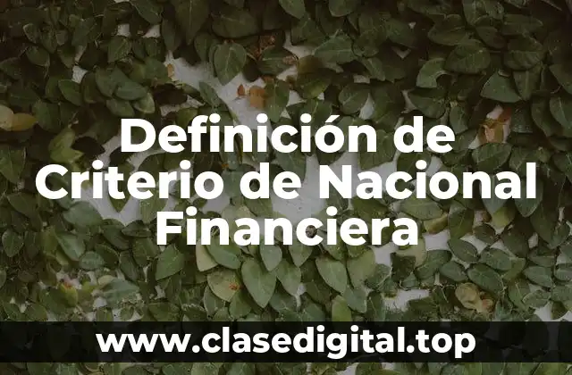 Definición de Criterio de Nacional Financiera