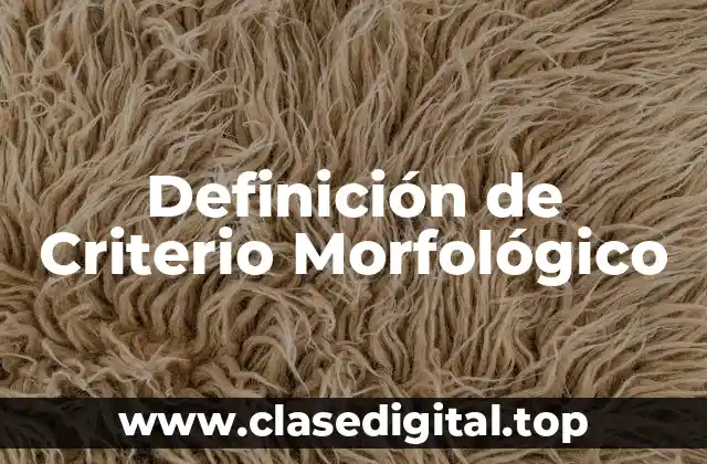 Definición de Criterio Morfológico