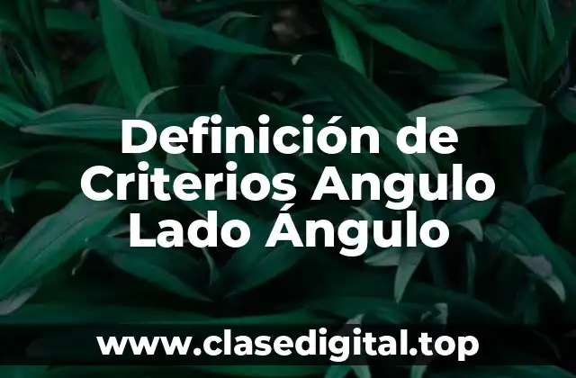 Definición de Criterios Angulo Lado Ángulo