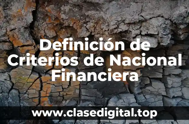 Definición de Criterios de Nacional Financiera