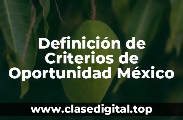 Definición de Criterios de Oportunidad México