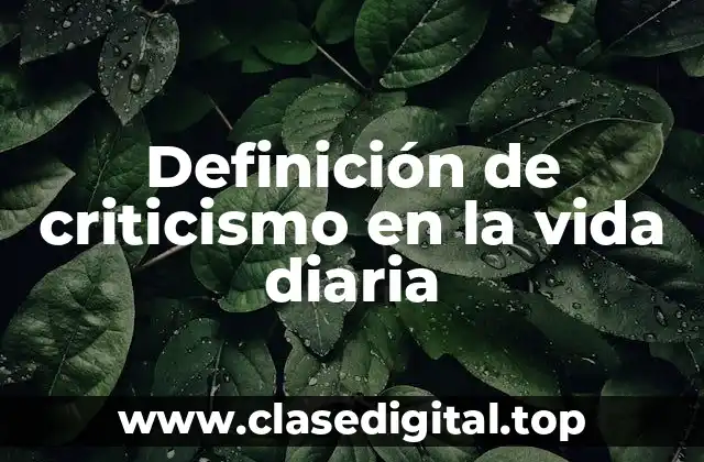 Definición de criticismo en la vida diaria