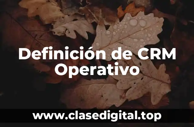 Definición de CRM Operativo