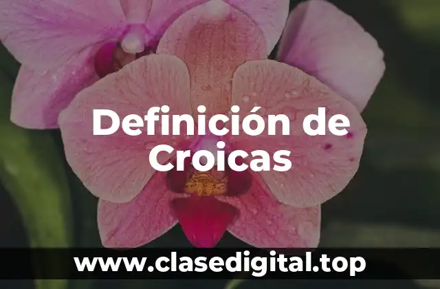 Definición de Croicas
