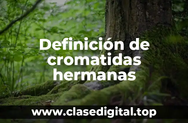 Definición de cromatidas hermanas
