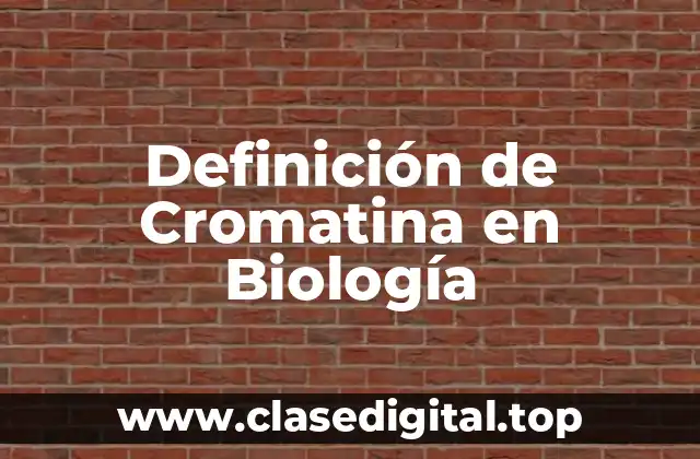 Definición de Cromatina en Biología